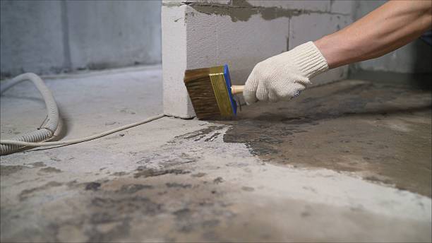 24/7 Emergency Wet Basement Repair experts in Manchester, MI